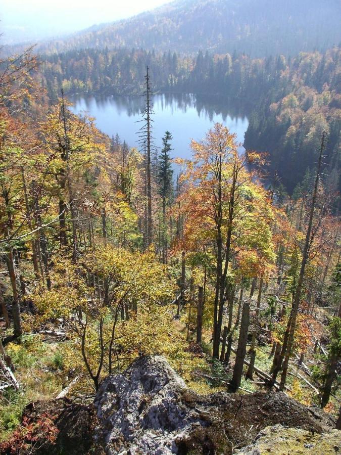 Pension Wiesengrund นอยเชอเนา ภายนอก รูปภาพ